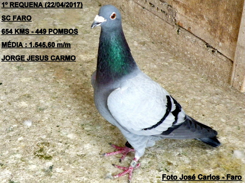 Requena 2017 006.JPG