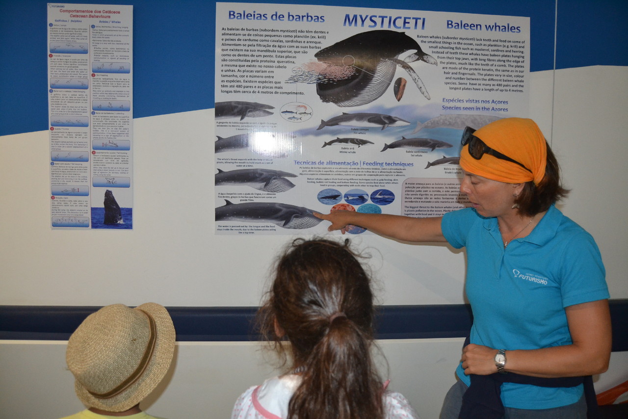 DSC_0726.JPG DSC_0726.JPG