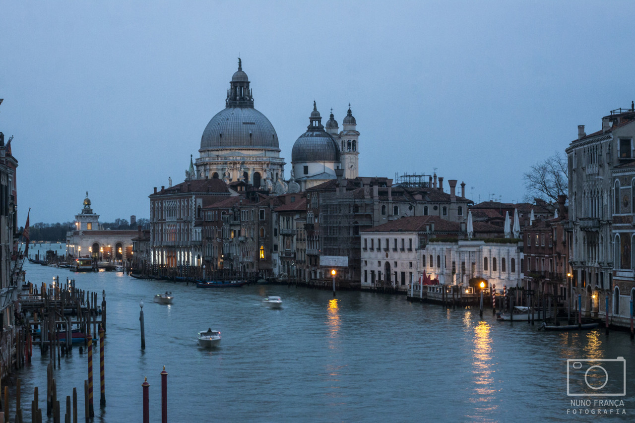 IMG_5607_net.jpg IMG_5607_net.jpg