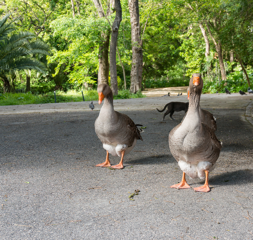 DSC02535.jpg DSC02535.jpg