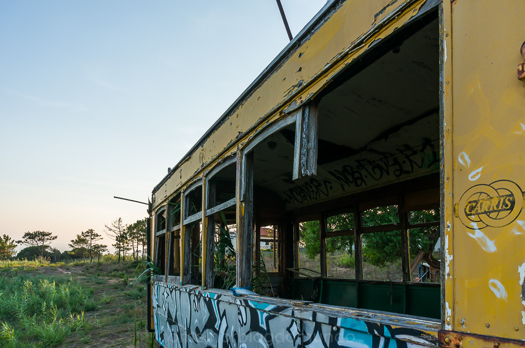 DSC04951.jpg DSC04951.jpg