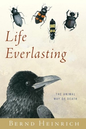 life_everlasting_300_453.jpg life_everlasting_300_453.jpg