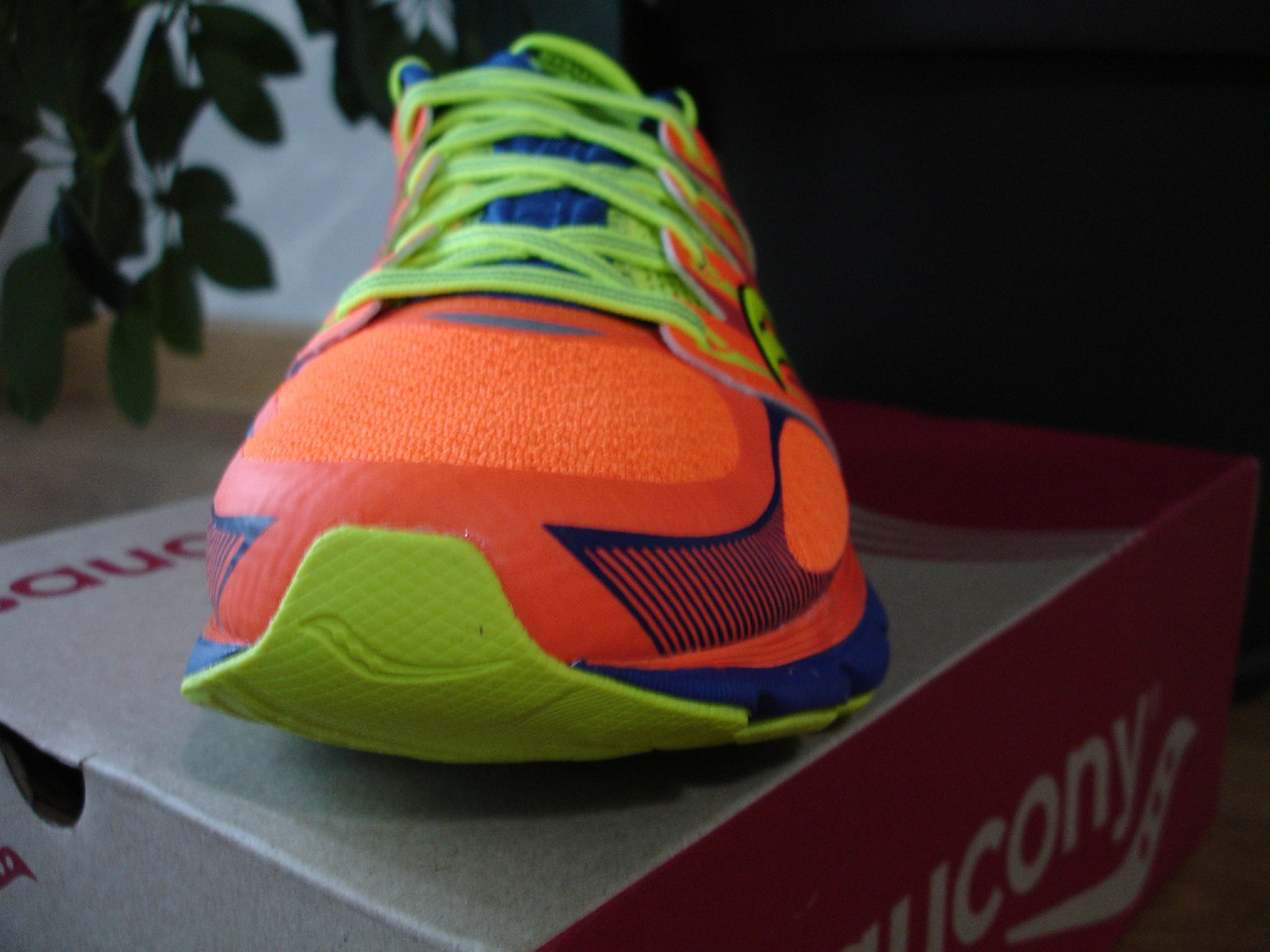 DSC00364.JPG DSC00364.JPG