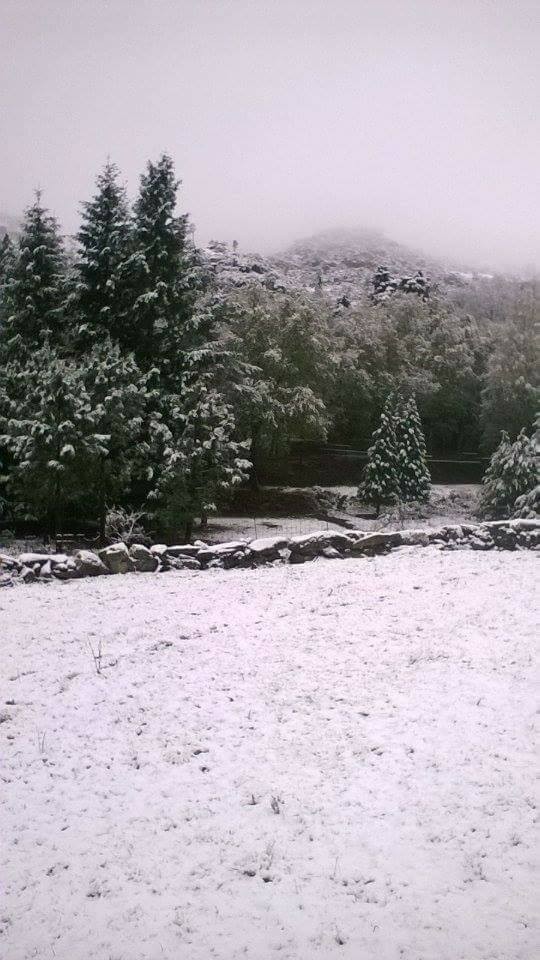 17426303_10210066821161041_4332535684056198674_n.j