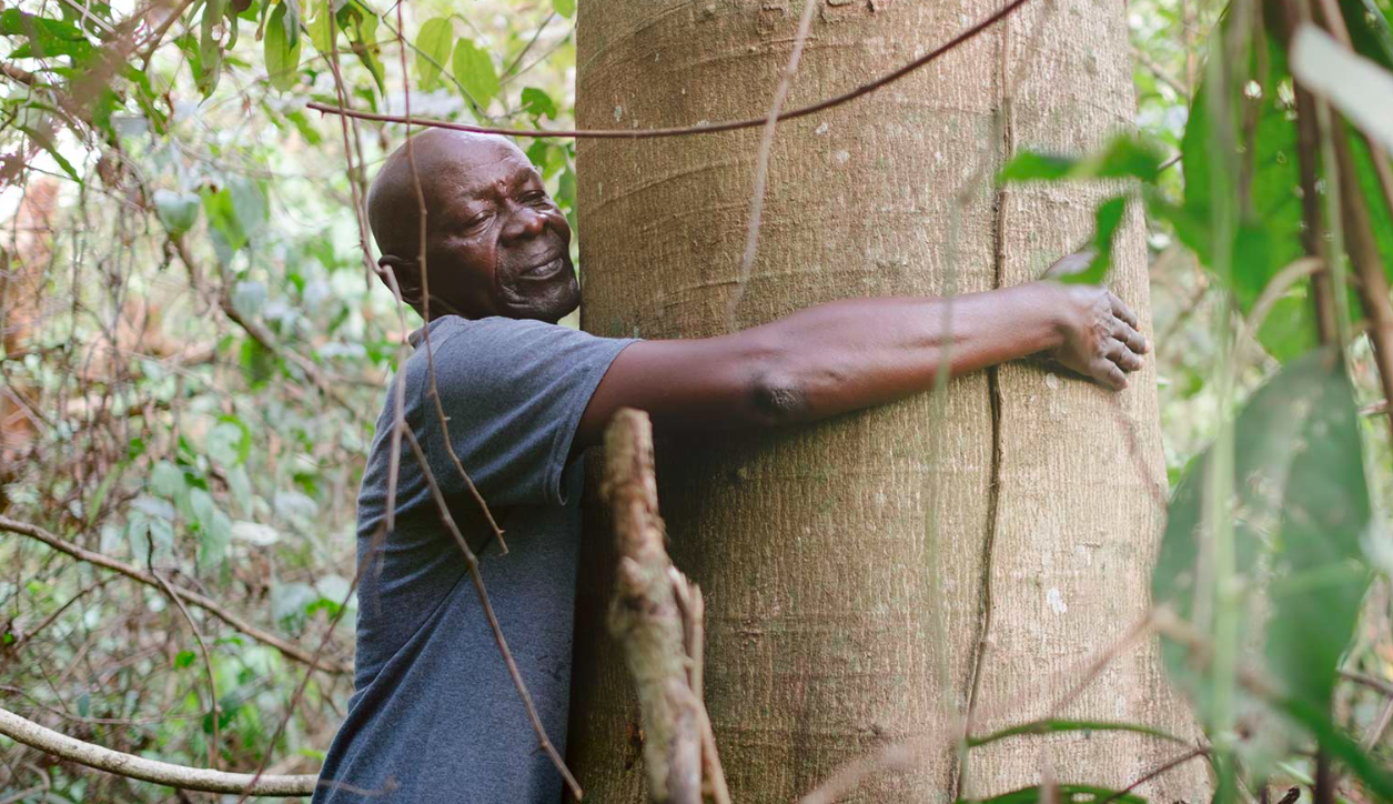 ecosia.png ecosia.png