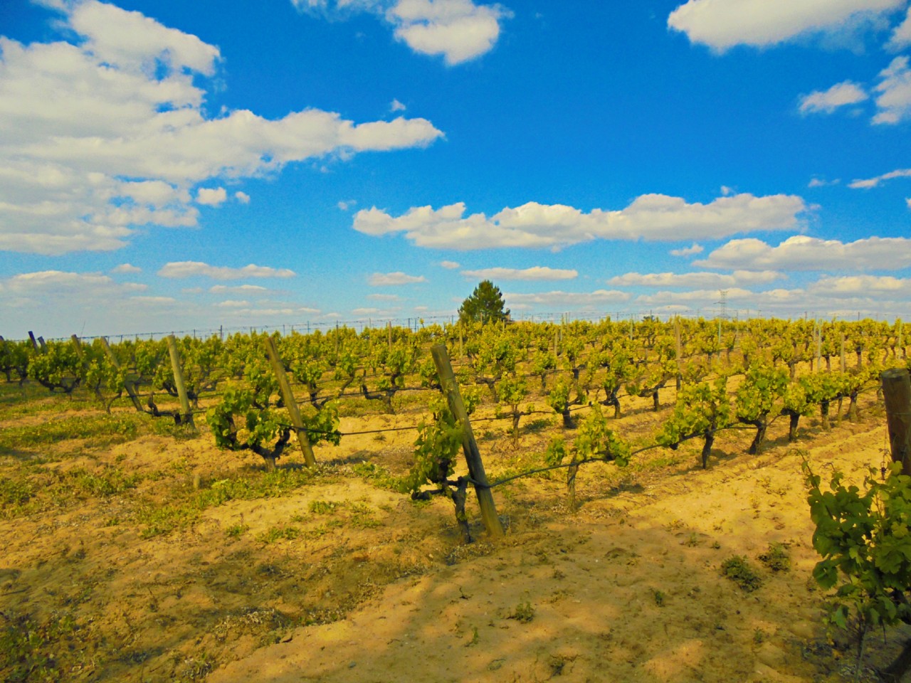 DSC01020.jpg DSC01020.jpg