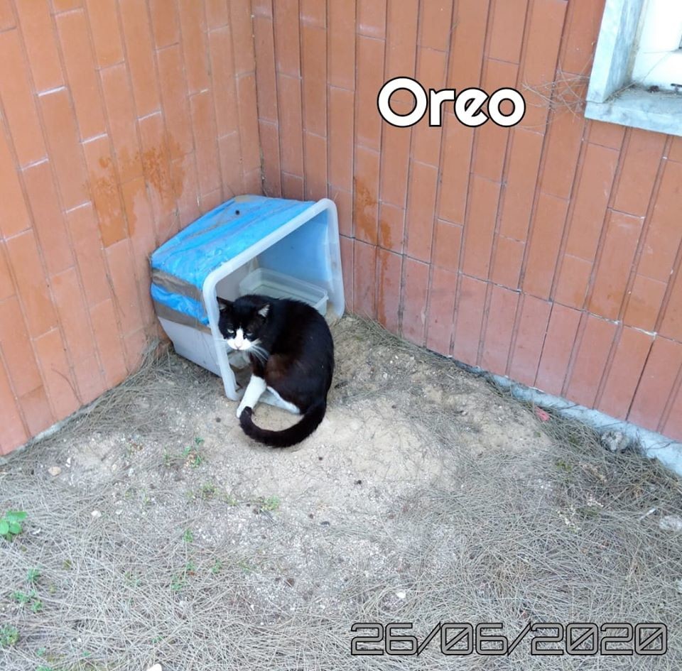 106048976_1338875522979579_8628955138612870829_o[2