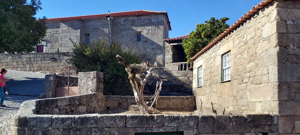 20190927_162143.jpg