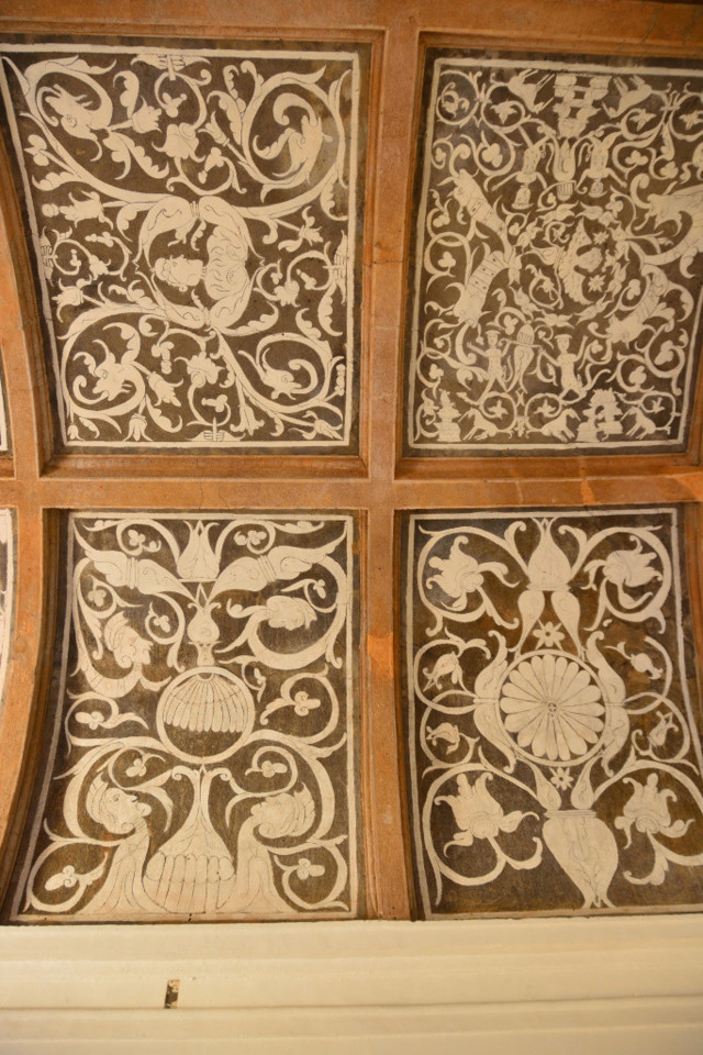 DSC_6063_01.jpg DSC_6063_01.jpg