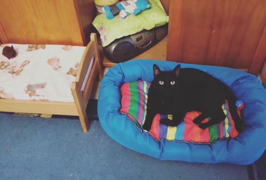 IMG_20200717_163624_367.jpg IMG_20200717_163624_367.jpg