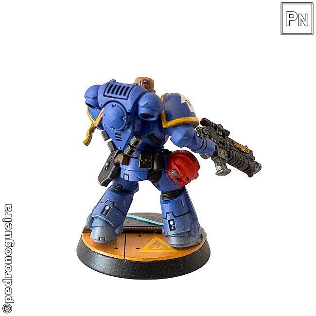 Set_2025_104 650px.jpg