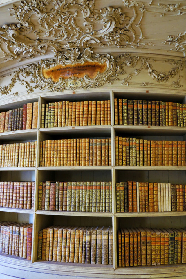 DSCF1194.jpg DSCF1194.jpg