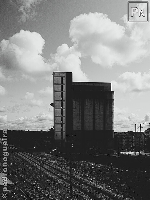 Jul_2023_095 650px.jpg