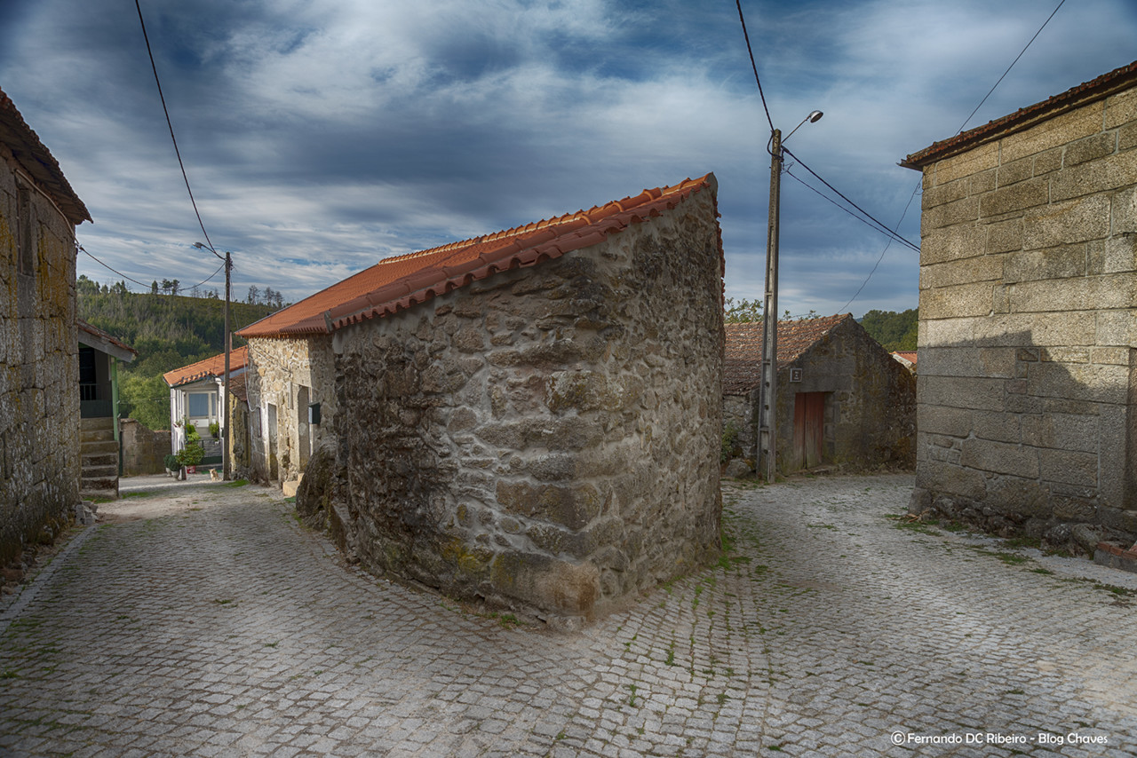 1600-cervos (16)-video.jpg