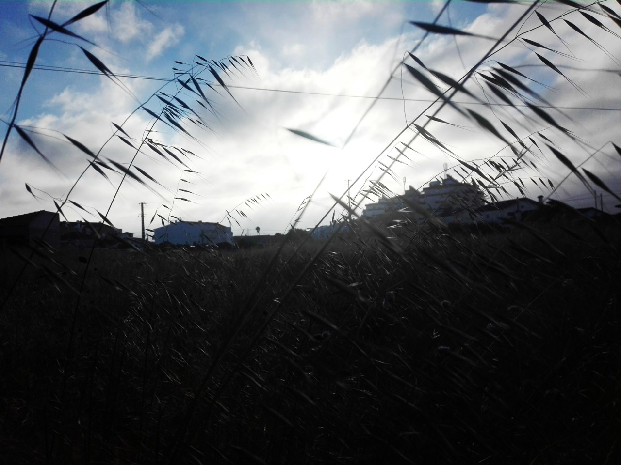 IMG_20190529_070338_468.jpg IMG_20190529_070338_468.jpg