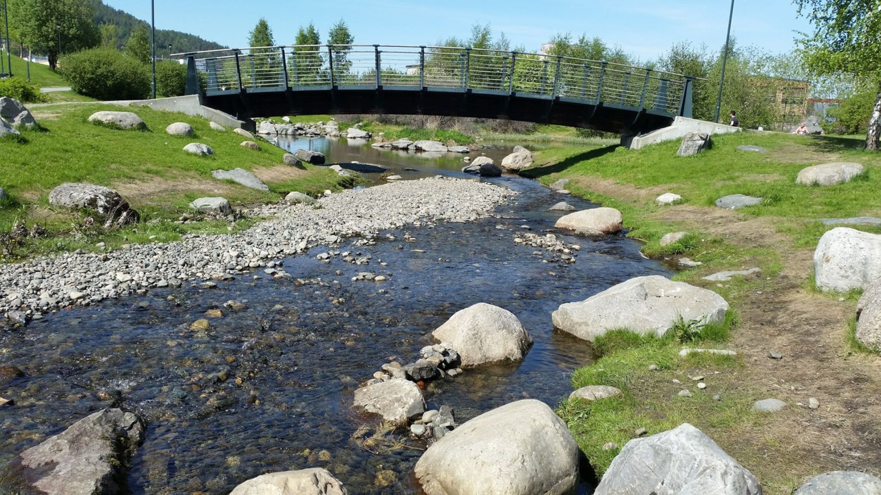 33081262_1649180978529353_6110665841370464256_n.jp