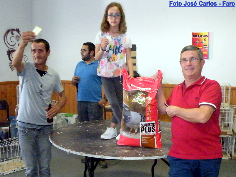 Leilão Ervidel 016.JPG