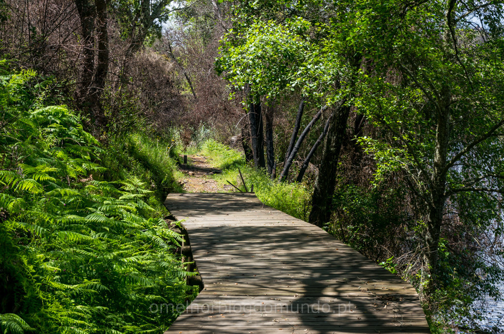 _DSC6677.jpg _DSC6677.jpg