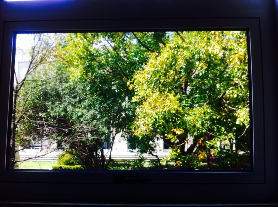 13082570_1018539994901726_3179260036223203507_n.jp