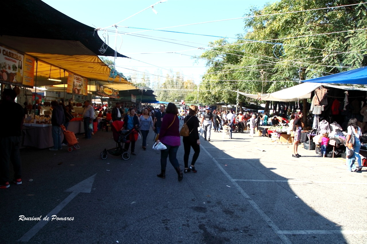 aqui também há feiras (006)