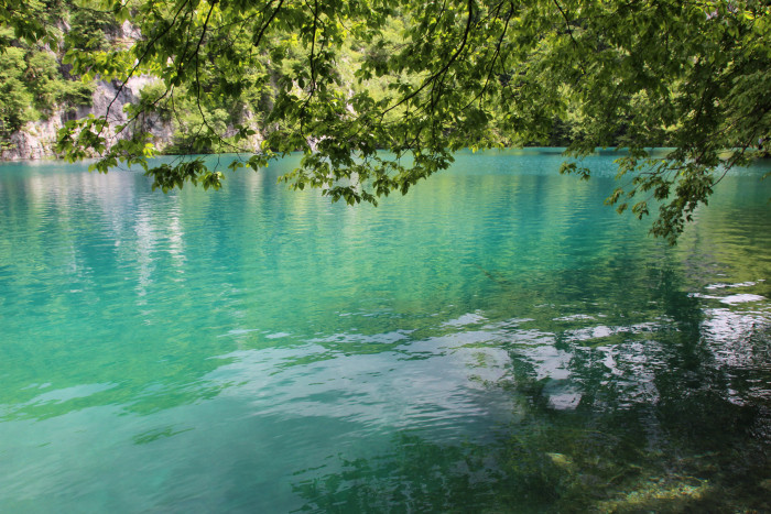 img_9676.jpg img_9676.jpg