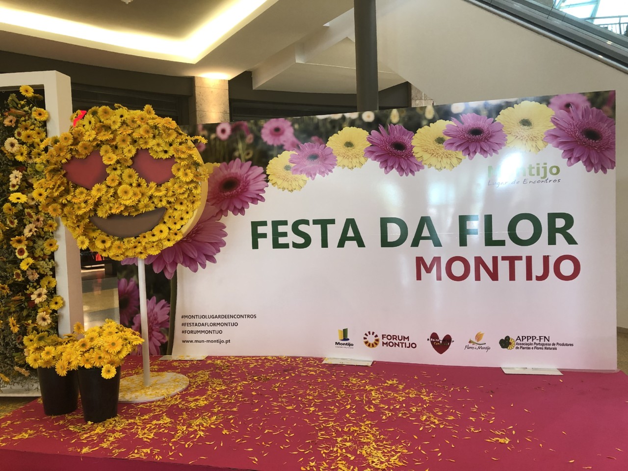 festa da flor fórum montijo