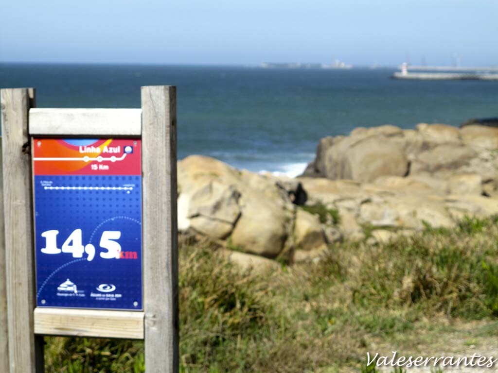 IMG_4325.jpg