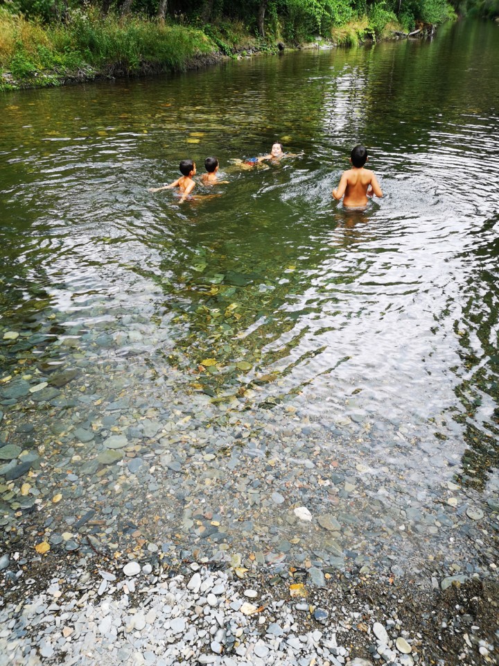 IMG_20200812_162531.jpg IMG_20200812_162531.jpg