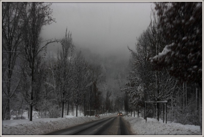 IMG_1485dias escuros.jpg