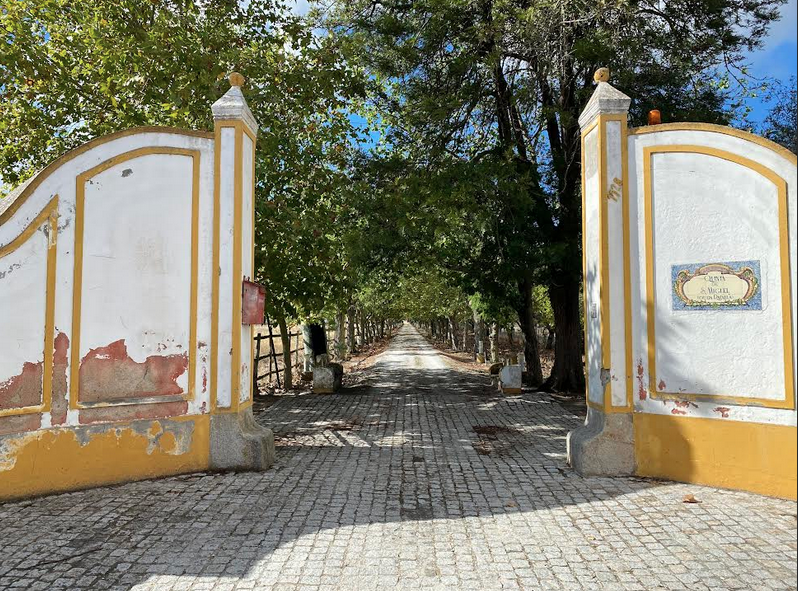 Screen Shot 2025-11-02 at 07.34.22.png