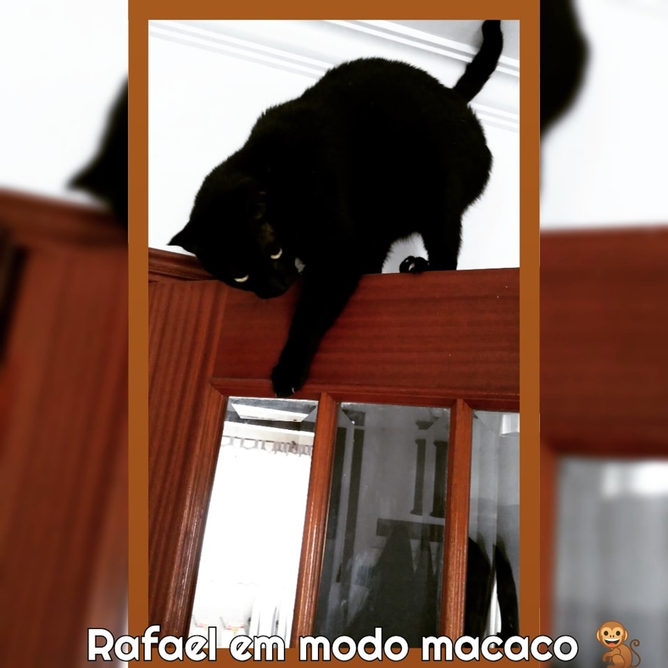 IMG_20210208_094402_989.jpg IMG_20210208_094402_989.jpg