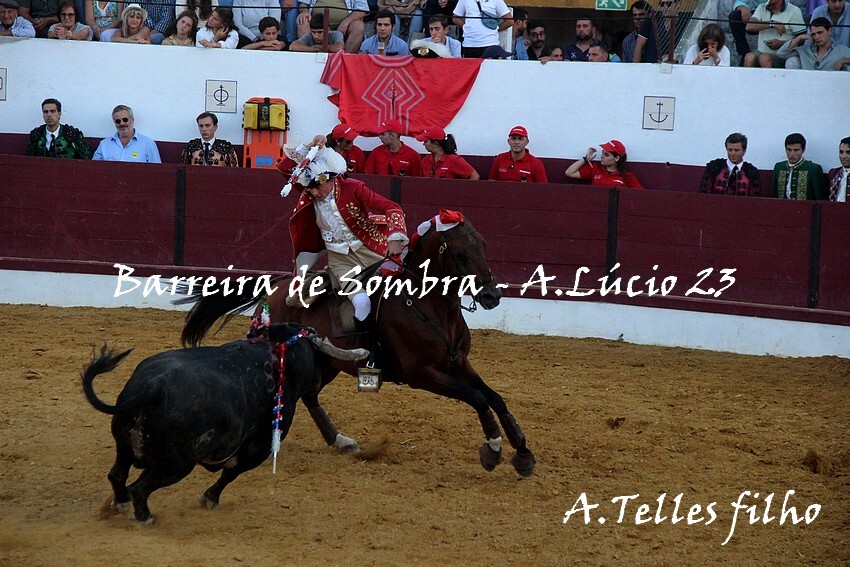 ATelles filho_2737.JPG