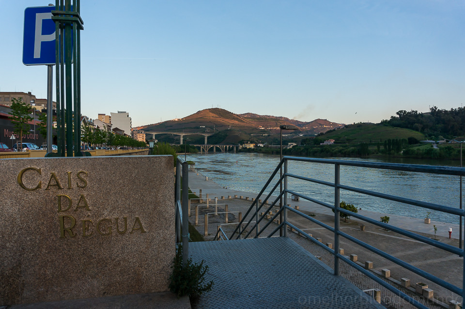 DSC02235.jpg DSC02235.jpg