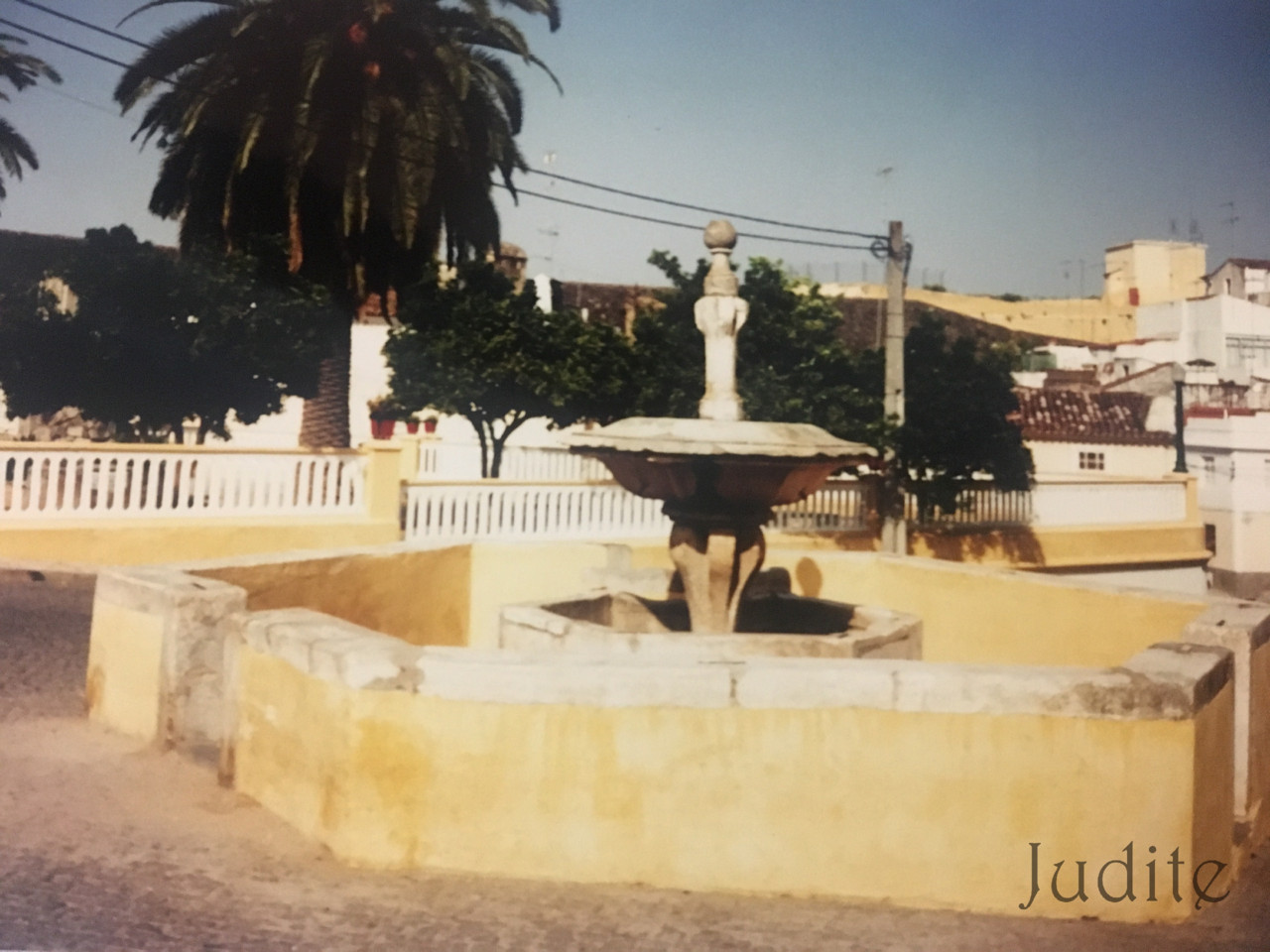 IMG_0151.jpg IMG_0151.jpg