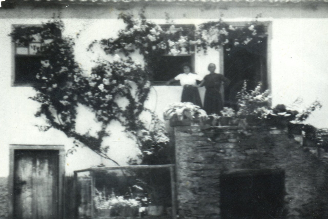 img003.jpg img003.jpg