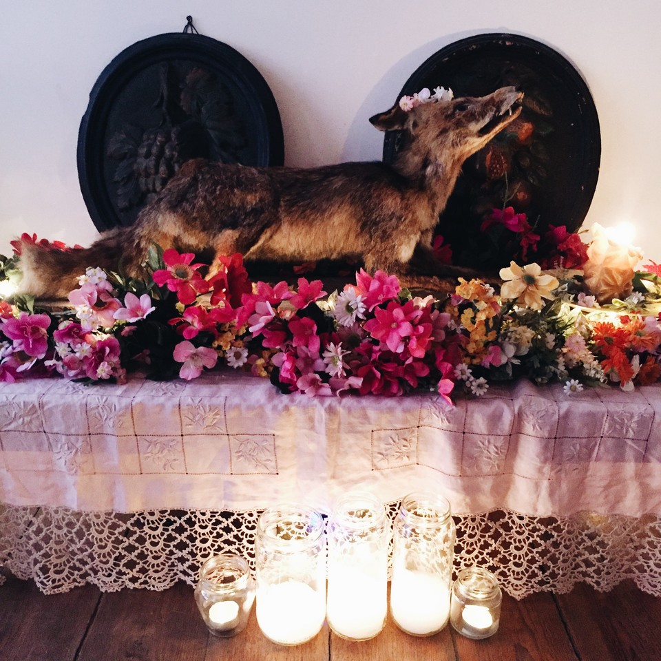 house-raposo.jpg house-raposo.jpg