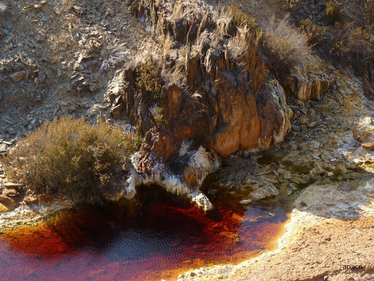 Mina S.Domingos (5).jpg