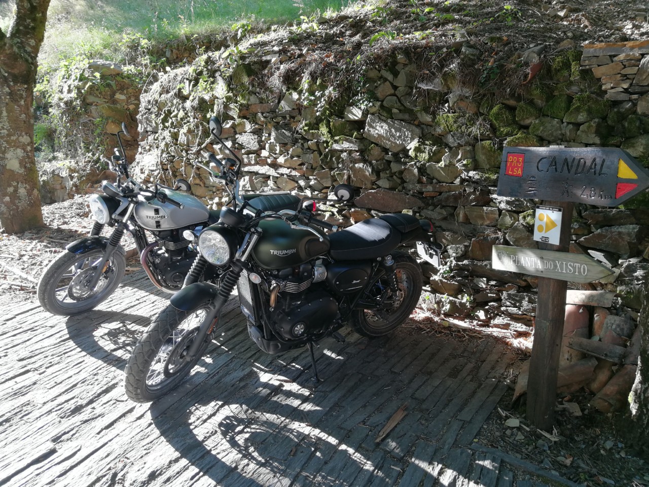 IMG_20180809_181421.jpg IMG_20180809_181421.jpg