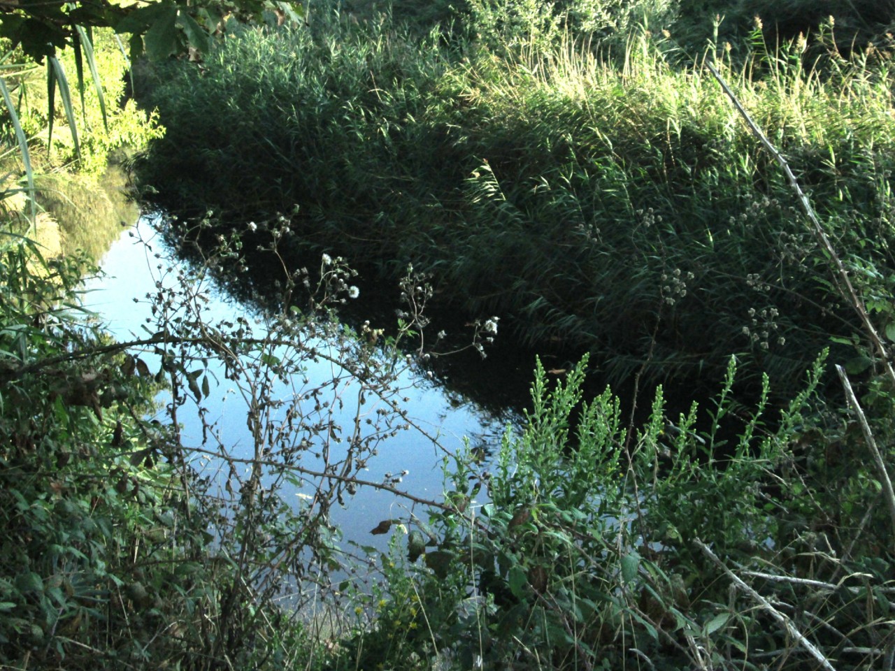 IMG_6683.JPG IMG_6683.JPG