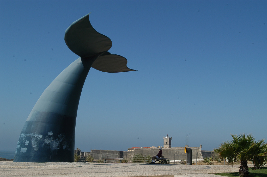 Vai dizer aos amigos que não parto.jpg