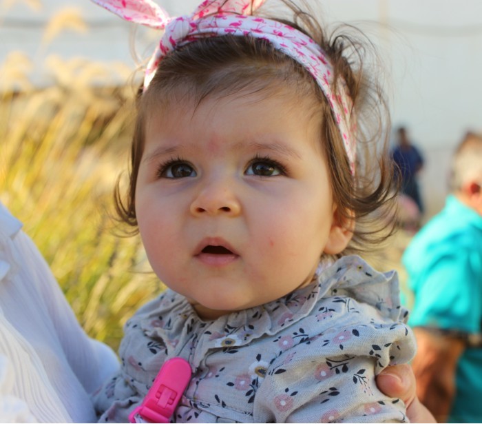 os meus cadilhos7.jpg