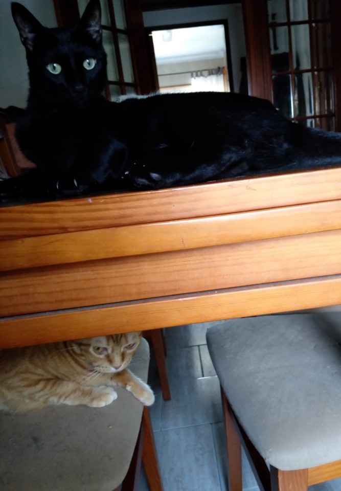 SquarePic_20190923_15450186.jpg SquarePic_20190923_15450186.jpg