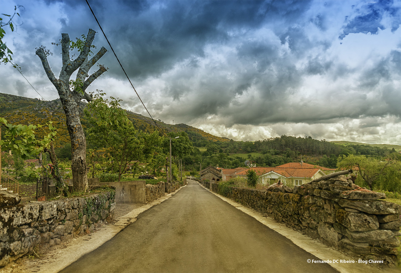 1600-romainho (1).jpg