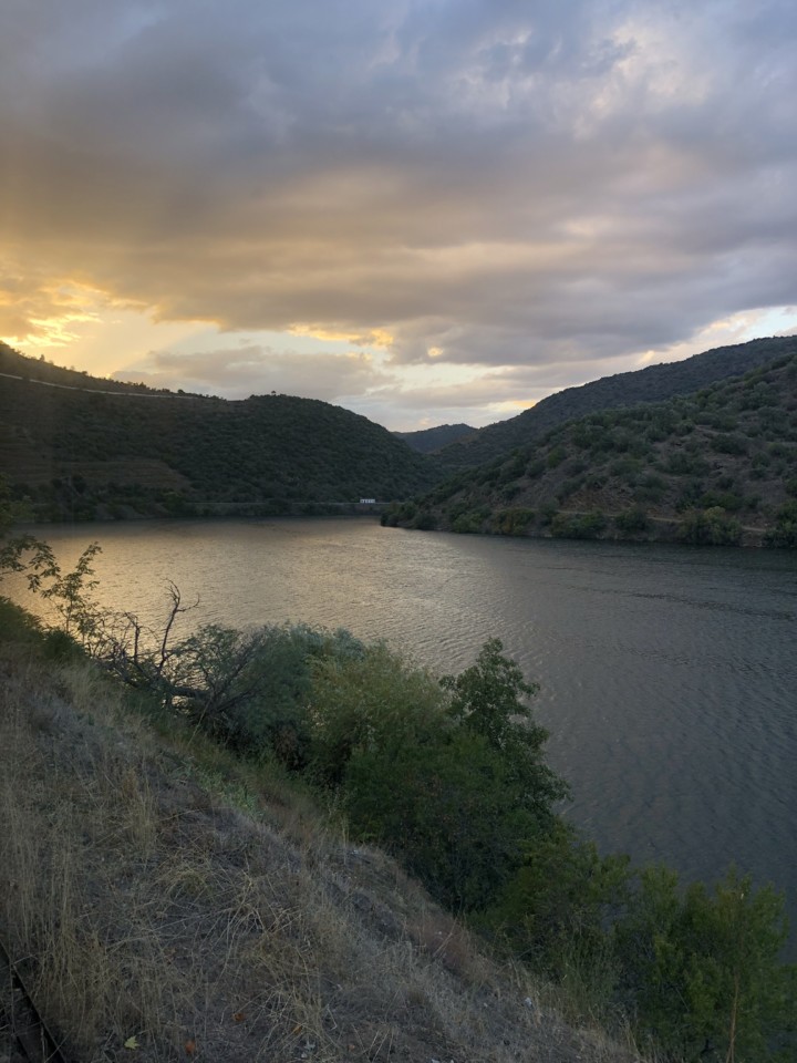 71691B33-FBFB-47DC-9FBB-E99074A36A11.jpeg 71691B33-FBFB-47DC-9FBB-E99074A36A11.jpeg