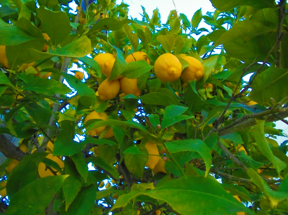 Sem Título101 (2).png