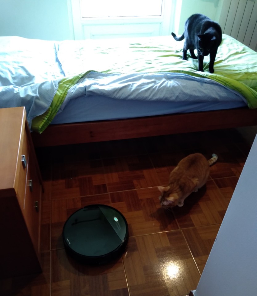 SquarePic_20201128_11580044.jpg SquarePic_20201128_11580044.jpg