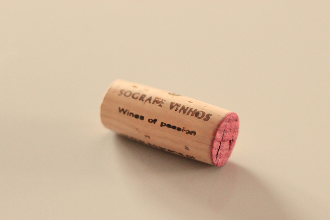 Antonia Adelaide Ferreira Tinto 2016