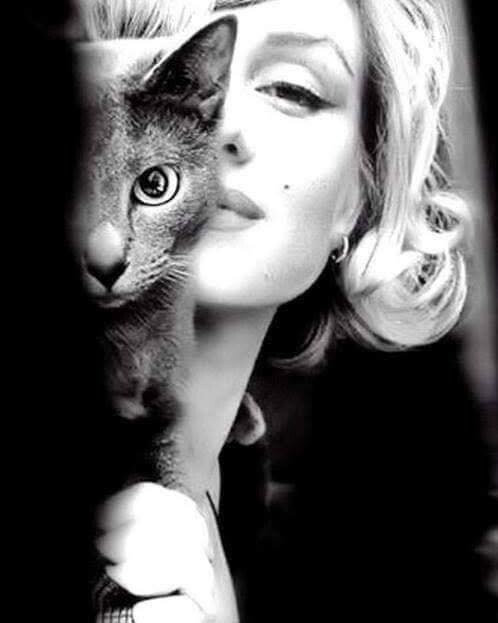 511161125_1272337404249782_3782956033367519731_n.j