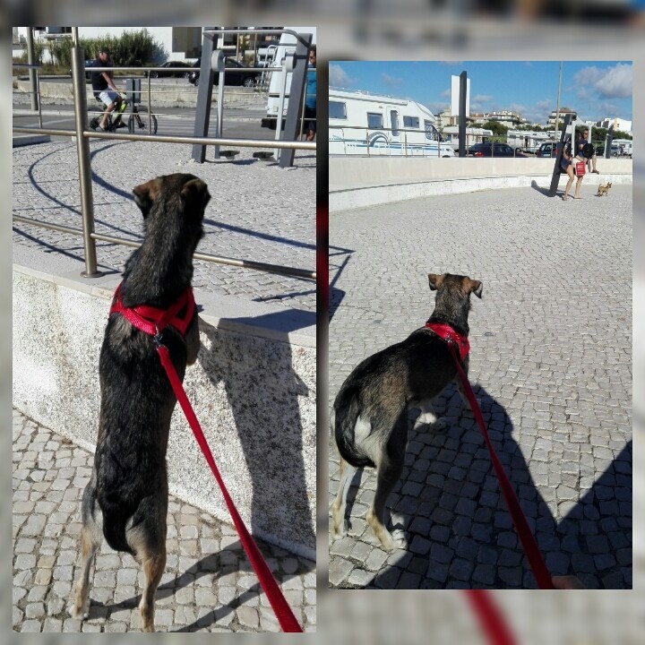 2018-09-23_16.01.43.jpg 2018-09-23_16.01.43.jpg