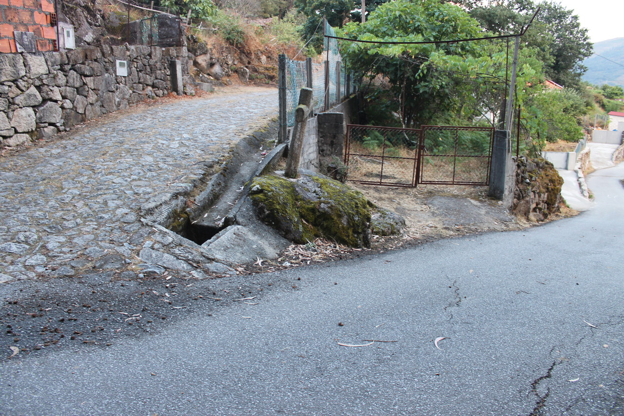 IMG_0830.JPG IMG_0830.JPG